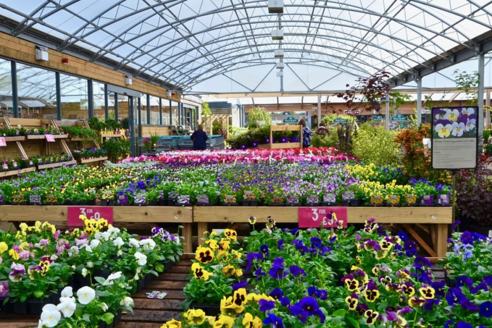 Dobbies Garden Centre Altrincham – Your Ultimate Guide for 2025 Dobbies Garden Centre Altrincham – Your Ultimate Guide for 2025